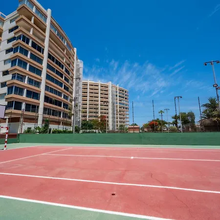 Seagulls Melody C-208 *