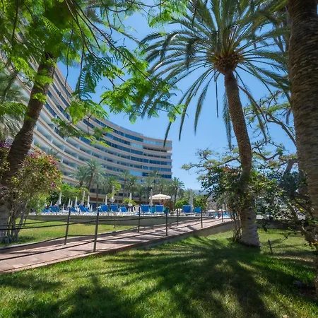 Seagulls Melody C-208 * Costa Adeje (Tenerife)