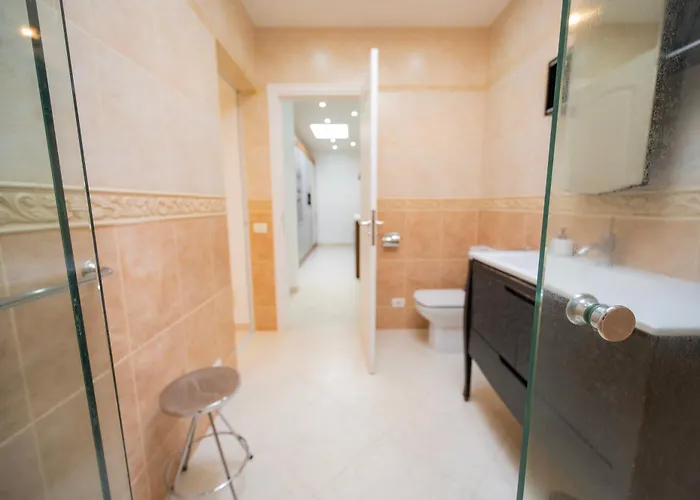 Seagulls Melody C-208