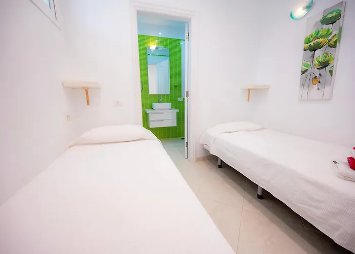 Seagulls Melody C-208 *