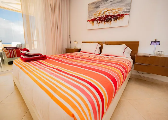 Seagulls Melody C-208