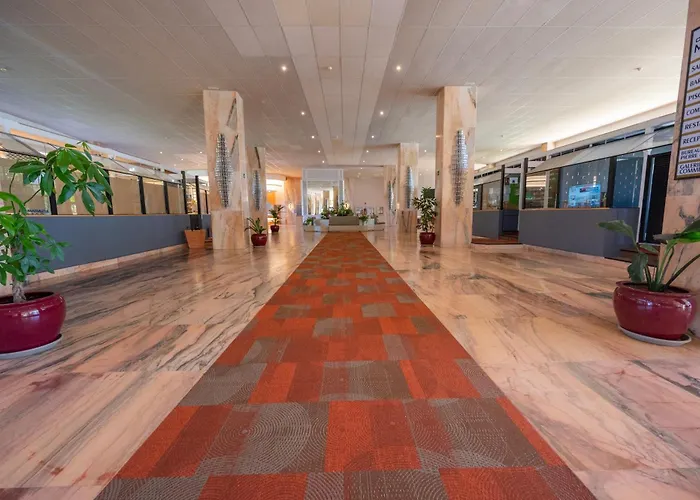 Seagulls Melody C-208 Lejlighed *