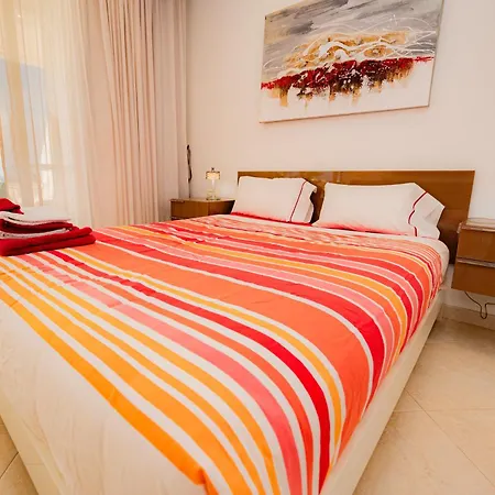 Seagulls Melody C-208