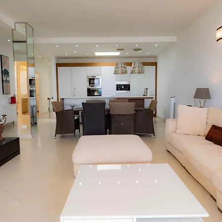 Seagulls Melody C-208