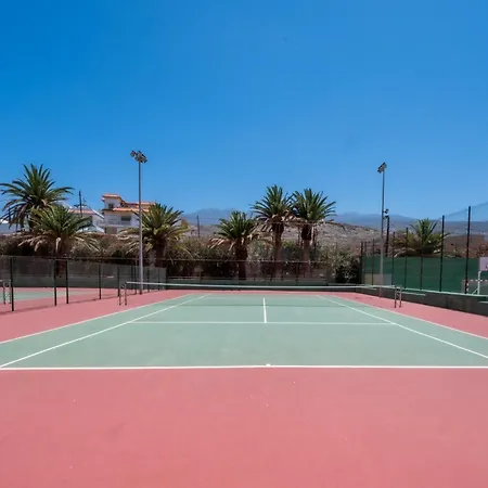 Seagulls Melody C-208 Адехе