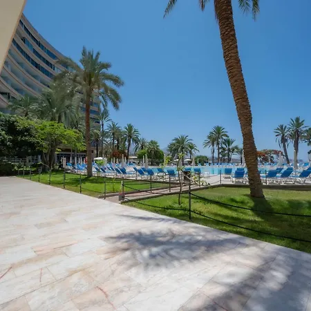 Seagulls Melody C-208 * Адехе