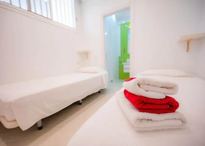 Seagulls Melody C-208 Адехе