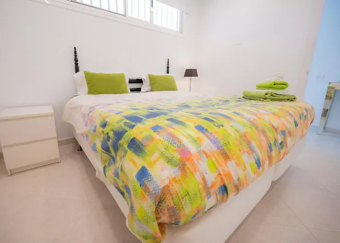 Seagulls Melody C-208 *