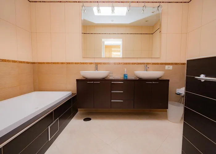 Seagulls Melody C-208 Адехе