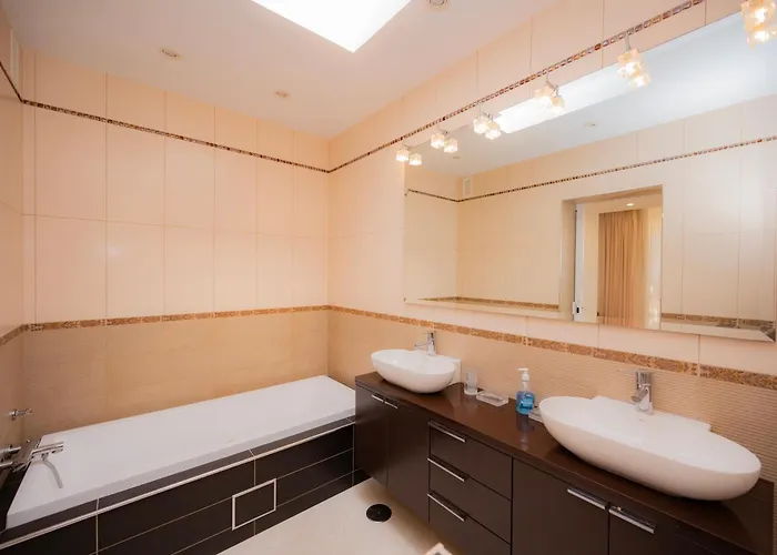 Seagulls Melody C-208 Адехе