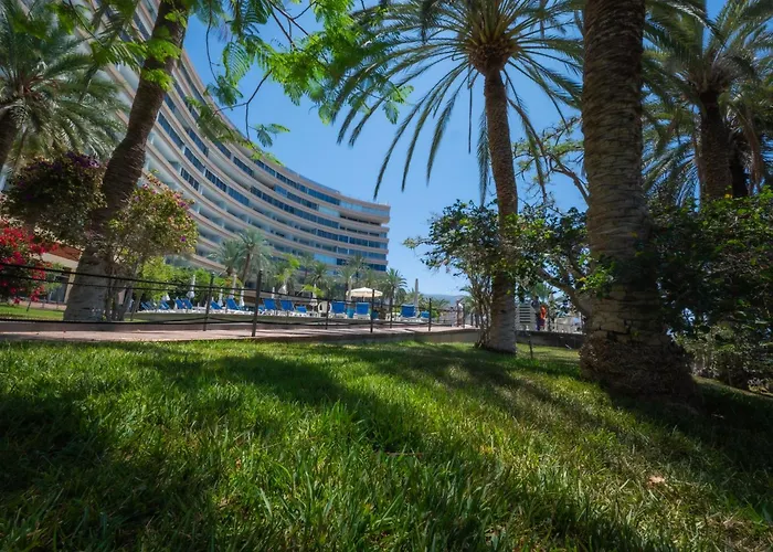 Seagulls Melody C-208 Адехе