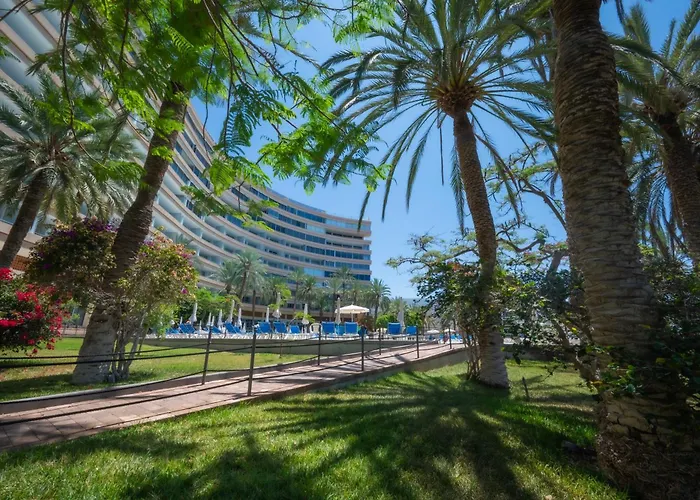 Seagulls Melody C-208 * Costa Adeje (Tenerife)