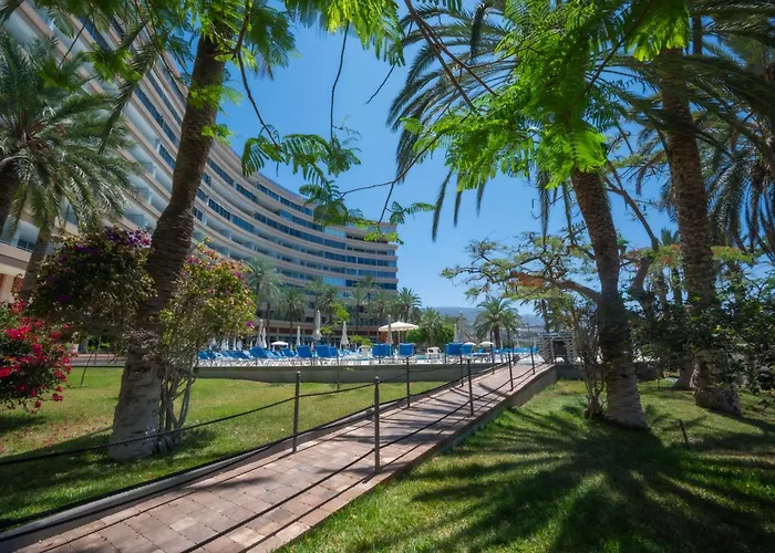 Seagulls Melody C-208 Адехе